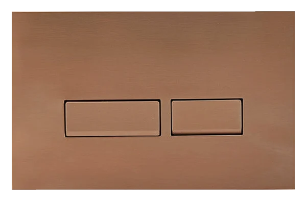 ABS Flush Plate
