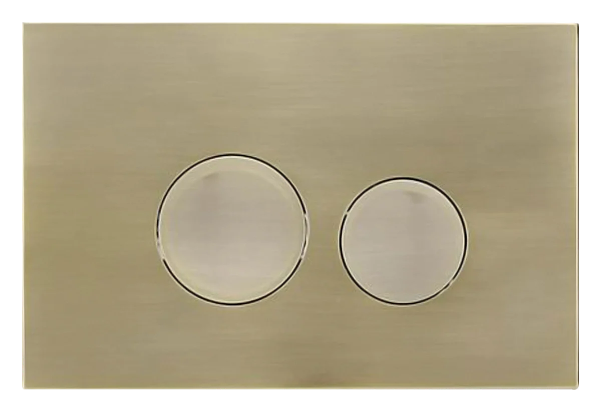 ABS Flush Plate