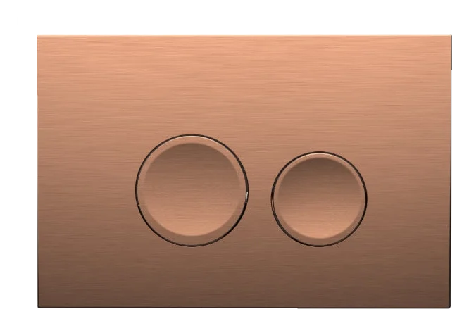 ABS Flush Plate