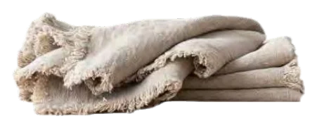 Eretz fringe natural napkin