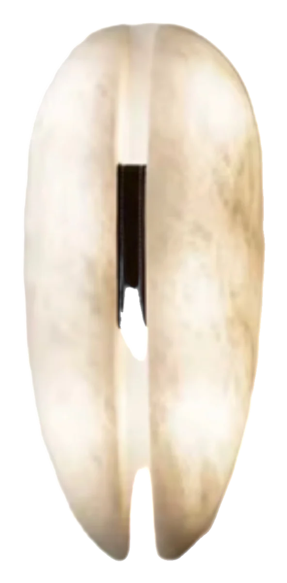 Carapace Wall Lamp
