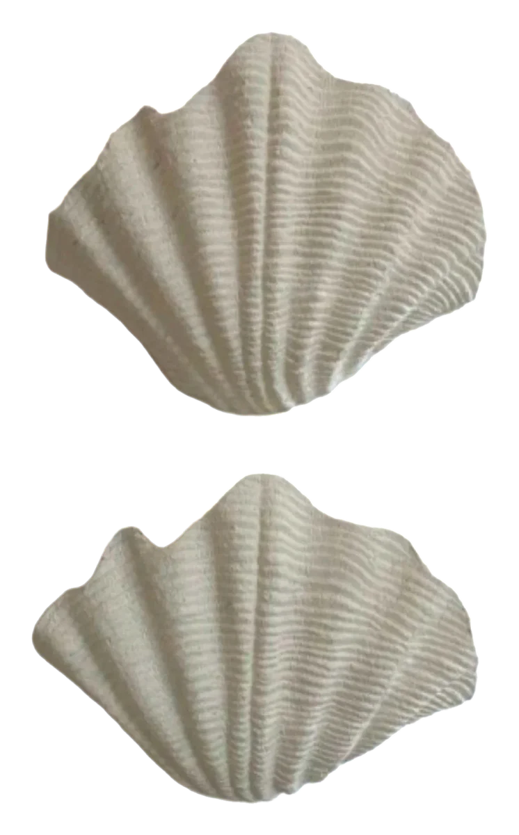COVE WALL LIGHTS