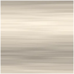 Steel