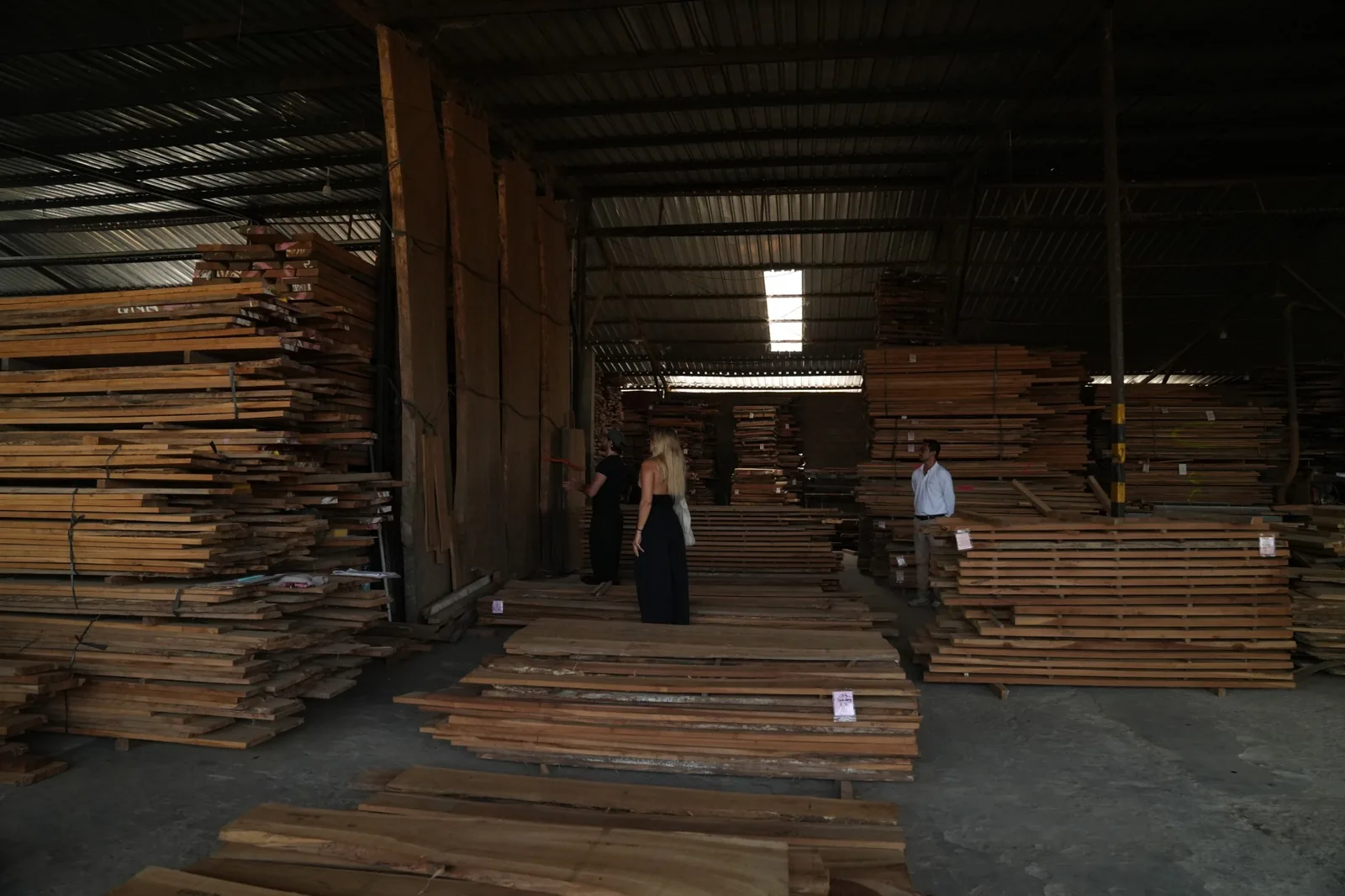 Selecting slabs at a timber yard